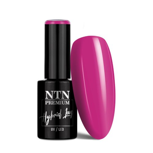 NTN Premium New - 54 - Birthday Party