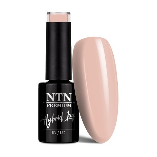 NTN Premium New - 17