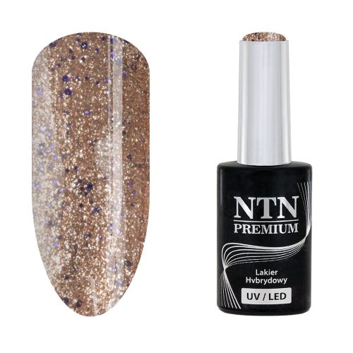 NTN Premium New - 166
