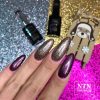 NTN Premium New - 166