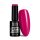 NTN Premium New - 171