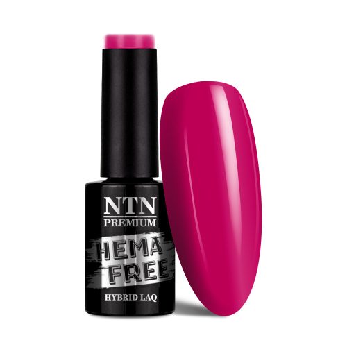 NTN Premium New - 171