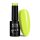 NTN Premium New - 144
