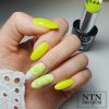 NTN Premium New - 144