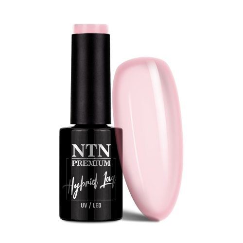 NTN Premium New - 176