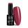 NTN Premium New - 207