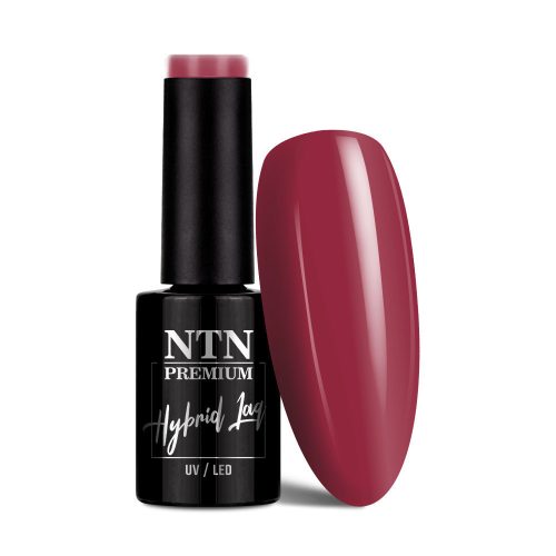 NTN Premium New - 207