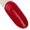 NTN Premium New Oriental Delice - 268