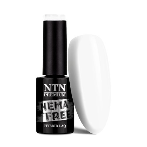 NTN Premium New - 01