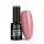 NTN Premium New - 58 - Day Dreaming (Hema-free)