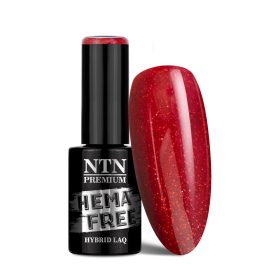 NTN Premium New - 79 - Fiesta (Hema-free)