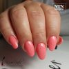 NTN Premium New - 187
