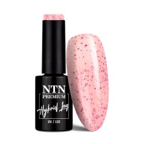 NTN Premium New - 188