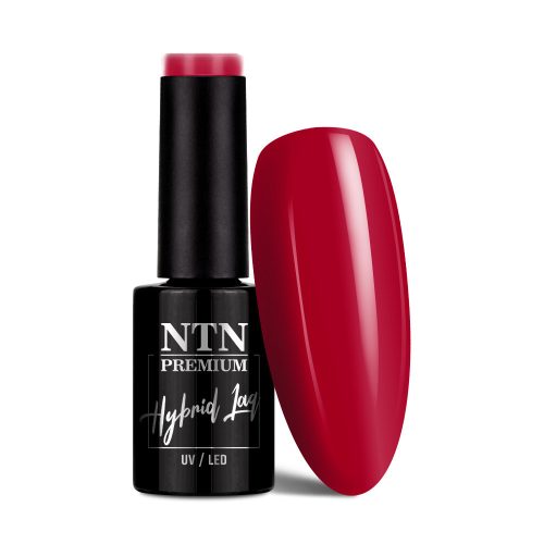 NTN Premium New - 215