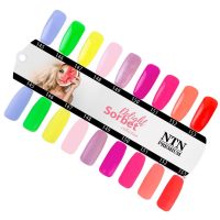 NTN Premium Delight Sorbet kollekció (145-153)