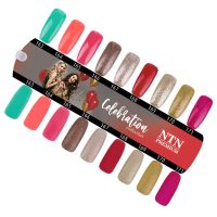 NTN Premium  Celebration kollekció (163-171)