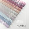 Claresa - Frosty Morning 1