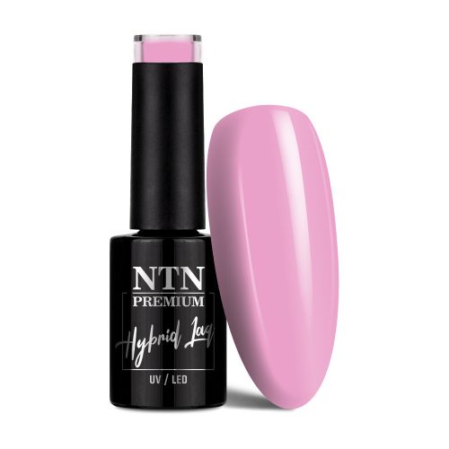 NTN Premium New - 03