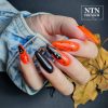 NTN Premium New - 142