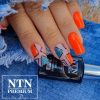 NTN Premium New - 142