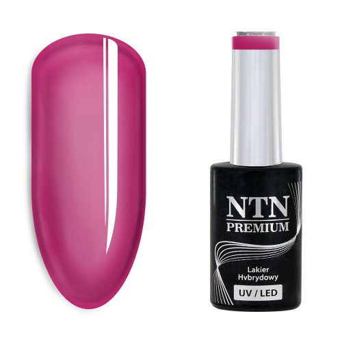 NTN Premium New - 171