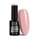 NTN Premium New - 22 (Hema-free)
