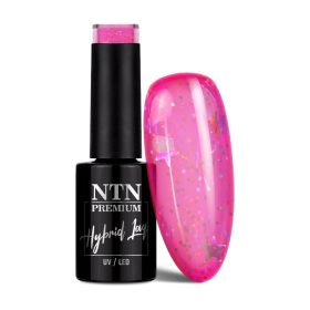 NTN Premium New - 255