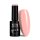 NTN Premium New - 31