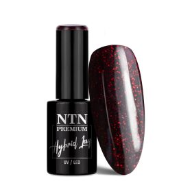 NTN Premium New - 326