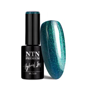 NTN Premium New - 327