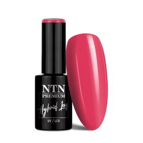 NTN Premium New - 341