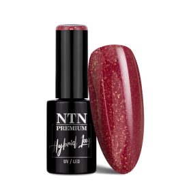 NTN Premium New - 452