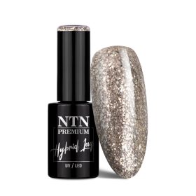 NTN Premium New - 480