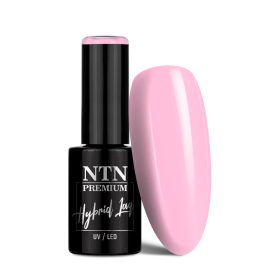 NTN Premium New - 93