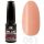 Profinails LED/UV lakkzselé 6 g No. 61