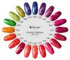 Color It Premium Cat Eye - 1600